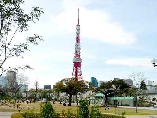 東京タワーが見える都会の風景の商用可能な無料フリー写真素材